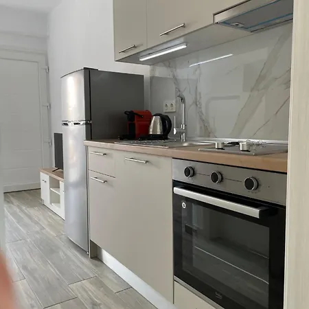 Beautiful Amaryllis Apartment Ofrinion