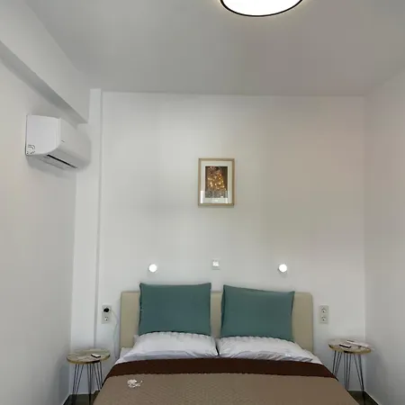 Beautiful Amaryllis Apartment