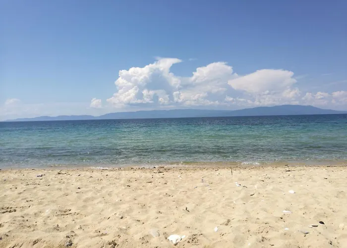 Beautiful Amaryllis Ofrínion