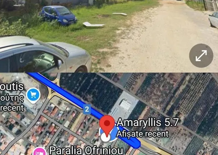 Beautiful Amaryllis Lägenhet